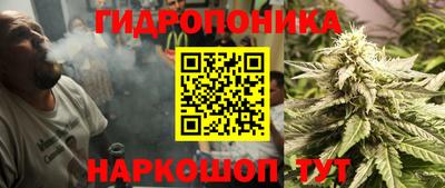 Альфа ПВП Брянск