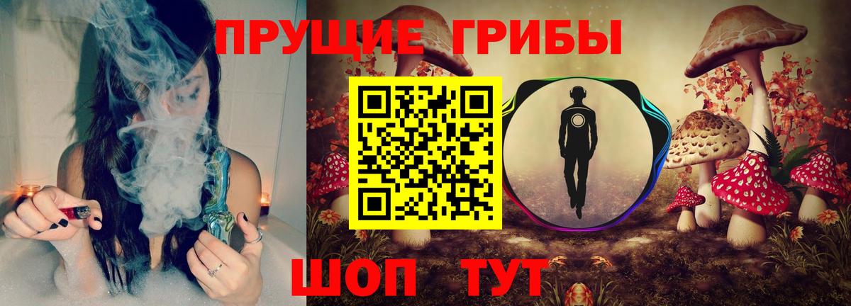 Вязьма  Галлюциногенные грибы Psilocybe  Вход с VPN 